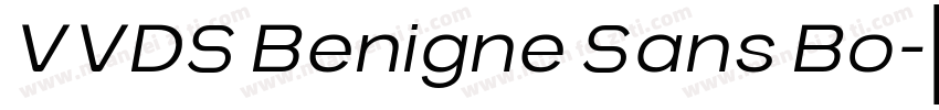 VVDS Benigne Sans Bo字体转换